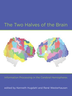 cover image of The Two Halves of the Brain